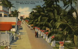 Promenade at Roney Plaza Pools Postcard