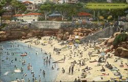 The Cove Postcard