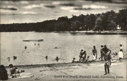 South End Beach at Hayward lake Postcard