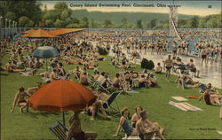 Coney Island Swimming Pool Postcard