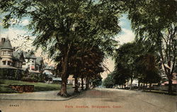 Park Avenue Bridgeport, CT Postcard Postcard