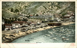 Hotel Metropole and Beach, Avalon Postcard