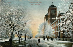 Mid-Winter in Town Postcard