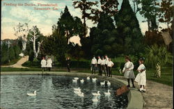 Feeding the Ducks, Thunderbolt Postcard