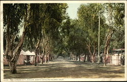 The Canvas City on Santa Catalina Island Postcard