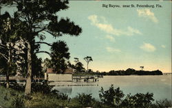 Big Bayou St. Petersburg, FL Postcard Postcard