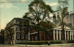 University of Maryland Baltimore, MD Postcard Postcard