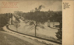 Mt. Royal Avenue from Druid Hill Park Baltimore, MD Postcard Postcard