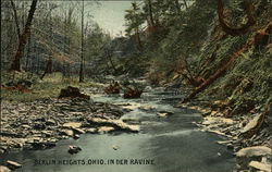 Berlin Heights, Ohio, in Der Ravine Postcard Postcard