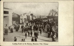 Riverview Park - Looking South on the Bowery Chicago, IL Postcard Postcard