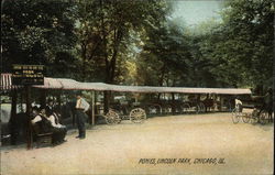 Ponies, Lincoln Park Chicago, IL Postcard Postcard