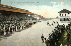 At the Races, State Fair Postcard