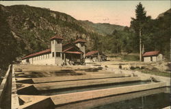 State Fish Hatchery Glenwood Springs, CO Postcard Postcard