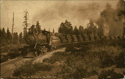 Logging Train on the Way to the Mill California Postcard Postcard