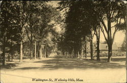 Washington Street Wellesley Hills, MA Postcard Postcard