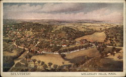 Belvedere Wellesley Hills, MA Postcard Postcard