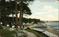 The Bluffs Postcard