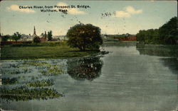 Charles River from Prospect Street Bridge Waltham, MA Postcard Postcard