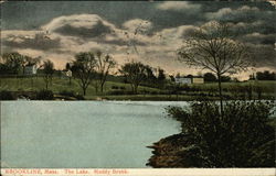 The Lake. Muddy Brook Postcard