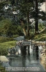 Brook Foot of Hemlock Hill, Arnold Arboretum, Owned by Harvard University Postcard