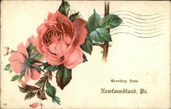 Greeting From Newfoundland, Pa. Pennsylvania Postcard Postcard