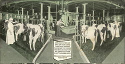 Milking Barn Operated By Hershey Chocolate Co. Postcard