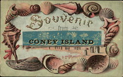 Souvenir From Coney Island Postcard