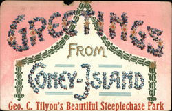 Greetings from Coney Island Geo. C. Tilyou's Beautiful Steeplechase Park New York Postcard Postcard