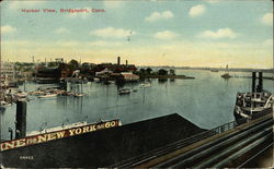 Harbor View Postcard