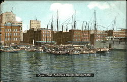 Oyster Fleet, Baltimore Harbor Postcard