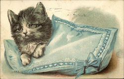 Gray Kitten on Blue Pillow Postcard