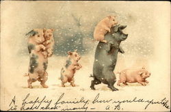 A family of pigs walking in the snow Postcard