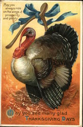 May You Always Ride on the Wings of Prosperity and Plenty Turkeys Postcard Postcard