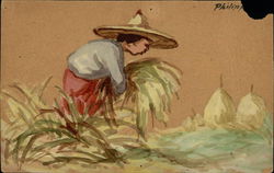 Gathering the crop - Phillippines Postcard