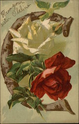 Roses - Letter C Alphabet Letters Postcard Postcard