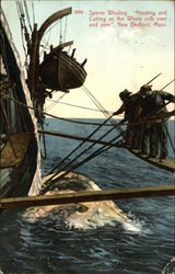 Sperm Whaling. "Hoisting and Cutting as the Whale Rolls Over and Over," New Bedford, Mass. Fishing Postcard Postcard