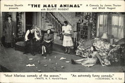 The Male Animcal Theatre Postcard Postcard