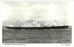 M.V. Salinas - The Pacific Steam Navigation Co. Postcard