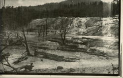 Norris Geyser Basin Yellowstone National Park, WY Postcard Postcard