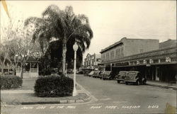 South Side of the Mall Postcard