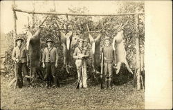 Hunters Showing Deer they Shot Postcard