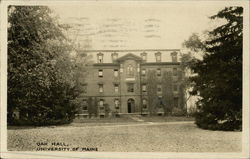 University of Maine - Oak Hall Postcard