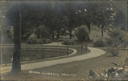 Back Park Clifton Springs, NY Postcard Postcard