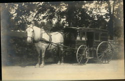 Horse Drawn Coach - Rocky Dundee Farm Postcard