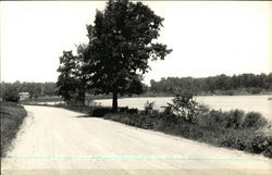 Coon Lake Frederic, WI Postcard Postcard