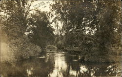 River Scene Postcard