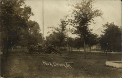 View of Path Dover, IL Postcard Postcard