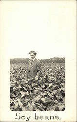 Man in Field of Soybeans Farming Postcard Postcard