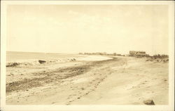 View along a beach in Michigan Postcard