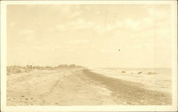 View along the beach Michigan Postcard Postcard